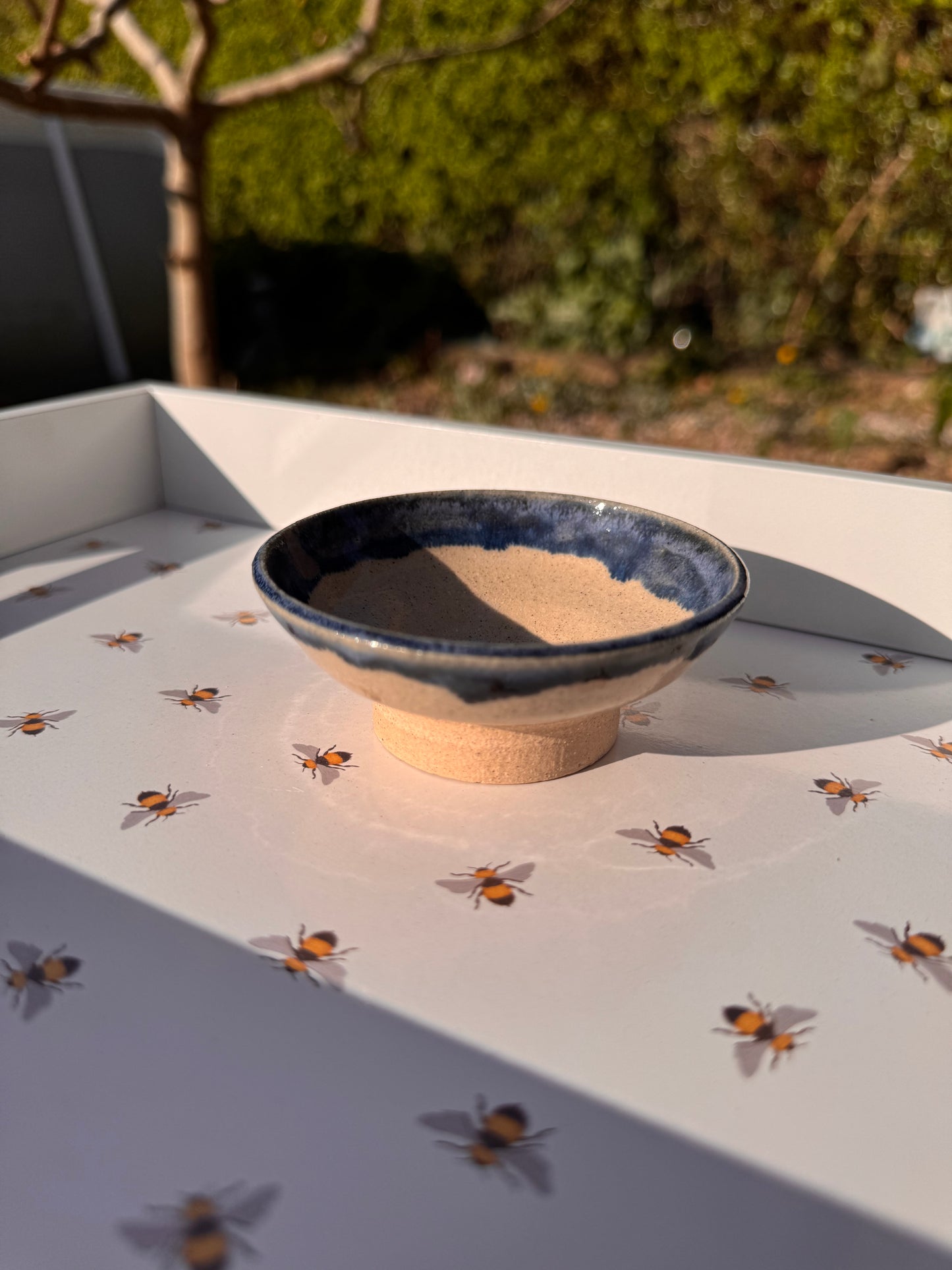 Little dish